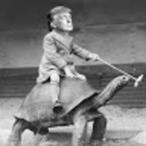 Meet your Posher, Dylan